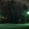 今冬の初積雪。 - 2012/01/24